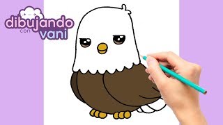 How to draw a kawaii eagle - YouTube