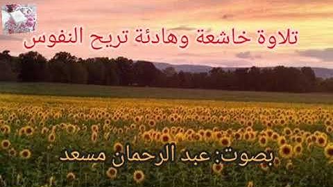 آيات من الذكر الحكيم استمع وارح قلبك تلاوة عبد الرحمان مسعد Quran karim