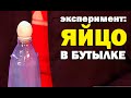 Галилео. Эксперимент. Яйцо в бутылке (I)