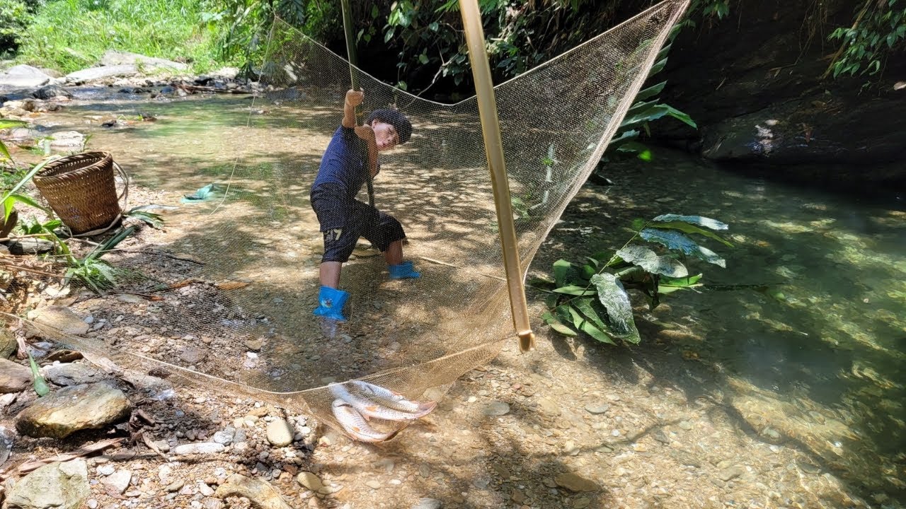 The girl built a massive  fish trap and harvested 50kg of fish | Armadilha enorme para peixes