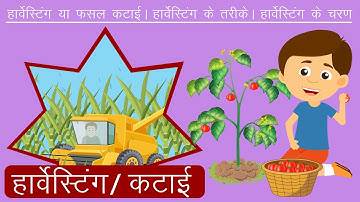 कटाई क्या है? - कटाई के प्रकार और तरीके - Harvesting Video in Hindi - Learning Junction Hindi