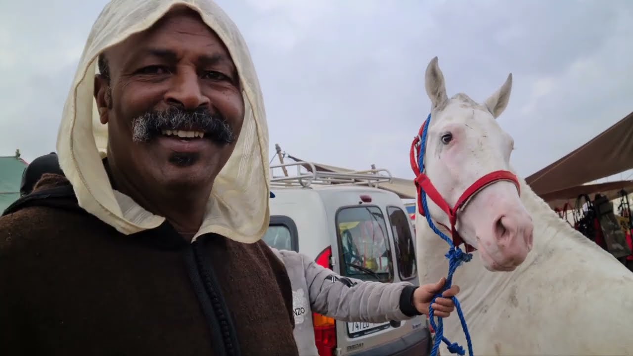 سوق سطات بادريس اليوم دخال5 الخيال وجدع البينوس. اجوى يا سلام