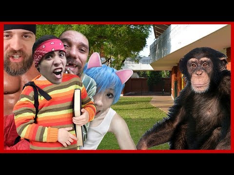 FACULDADE DE YOUTUBERS