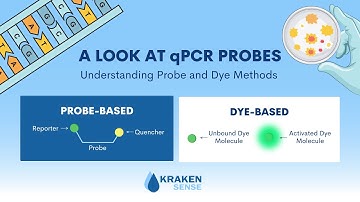 Process Explanation: Probe-based vs. Dye-based qPCR