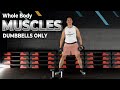 The Ultimate Whole Body Dumbbell Workout (JUST FOLLOW ALONG)