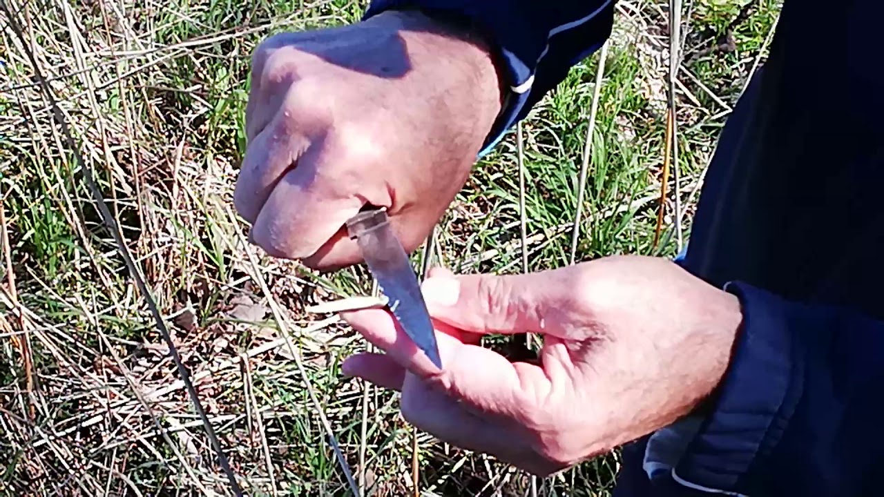 INNESTI - COMPATIBILITÀ