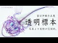 冨田伊織作品展「透明標本」がキレイすぎる！ (New World "Transparent Speciments" / Iori Tomita)