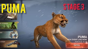 Into the dead 2 - Event - PUMA - Level 12 - Stage 3 #gameplay #walkthrough