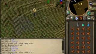 Runescape - Monkey Madness Final Battle - Halo Theme Song
