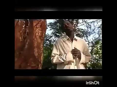 Voice Wonder Nimpende Nani 