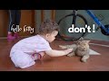 Baby meets cat  annikas funny encounters with animals