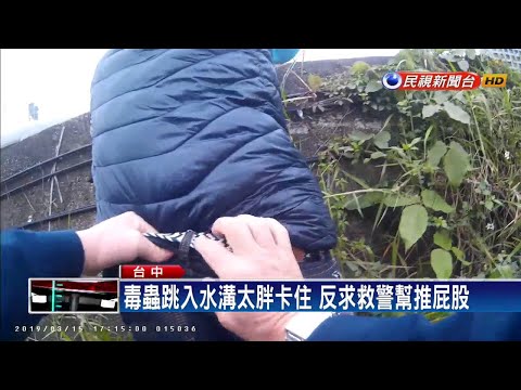90公斤毒蟲帥氣跳入水溝 太胖爬不出來反求救－民視新聞