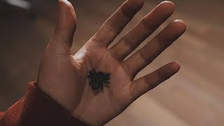 Spider-Man PS4 - Miles Morales Gets Bit By Spider