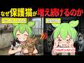 保護猫が急激に増え続けている理由とは?【ずんだもん・ゆっくり解説】