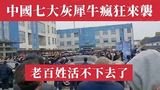 中國七大灰犀牛瘋狂來襲，通貨緊縮還是通膨？老百姓的日子沒辦法過了！房地產崩盤、地方債炸雷、養老錢發不出、外貿翻車、糧食危機、畢業生失業潮！8000萬財政供養人員：全世界一半在這兒，怎麼養？中國經濟危機