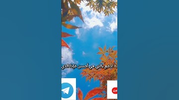 القائ سفيان الجبالي@ سورة فصلت وما يلقاها إلا الذين صبروا وما يلقاها إلا ذو حظ عظيم 🥰💖