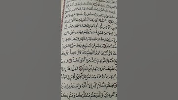 #ما تيسر من سورة محمد #اكسبلور #تقبل_الله_منا_ومنكم_صالح_الأعمال #كيف نقرأ القرءان