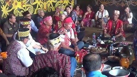 #BerkatnewsTV Kepala Humas BNPB Disanksi Hukum Adat Dayak Kanayatn