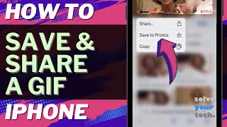 iOS 17: How to Save and Share a GIF from Search on iPhone Master Your Iphone How To Send Save Gifs In Messages