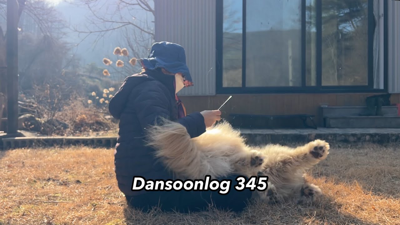 Dansoonlog345 Влог: наводим порядок во дворе и в сарае, ожидая медленно приходящую весну