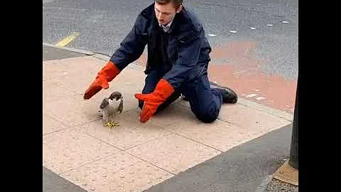 Why are they doing this?😳