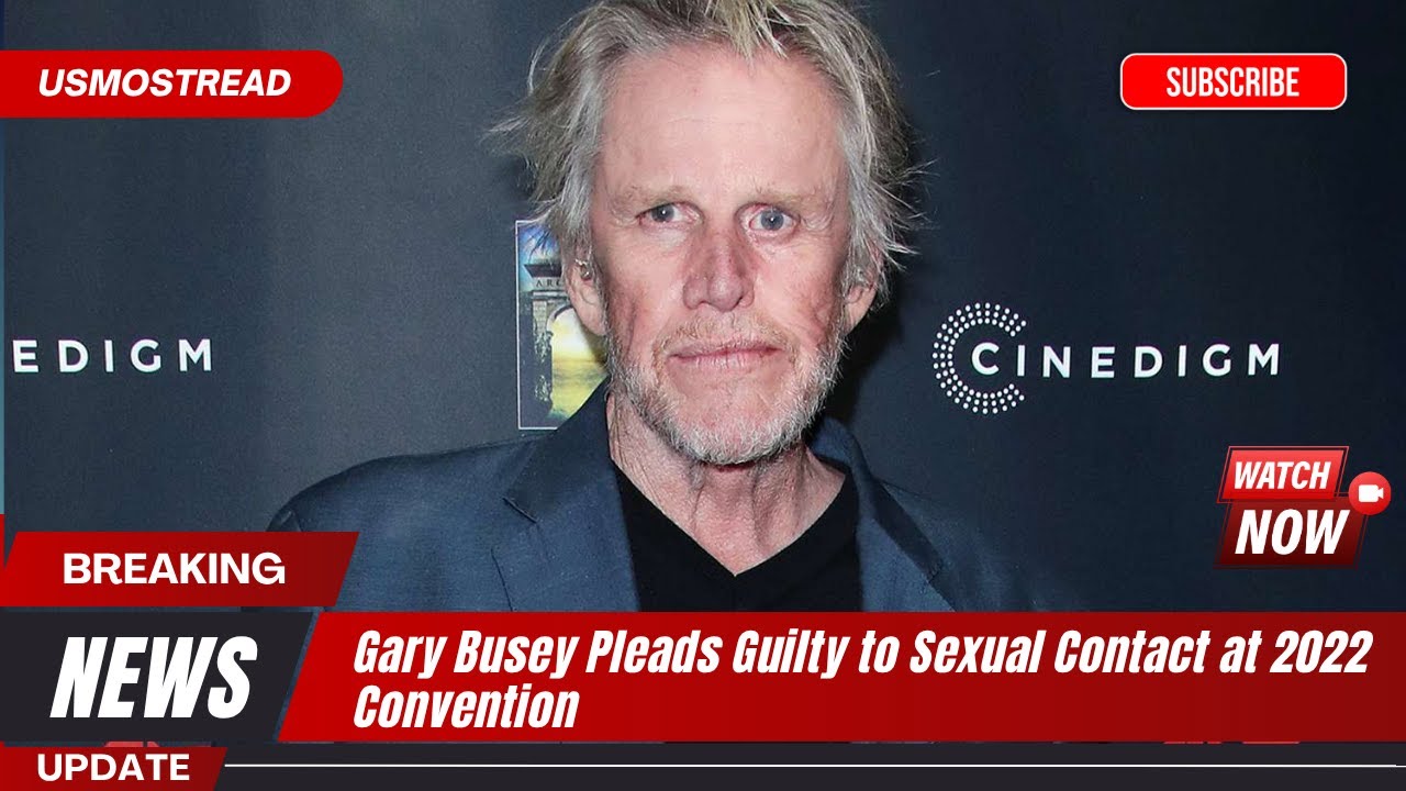 Actor Gary Busey Pleads Guilty to Sexual Contact Charge