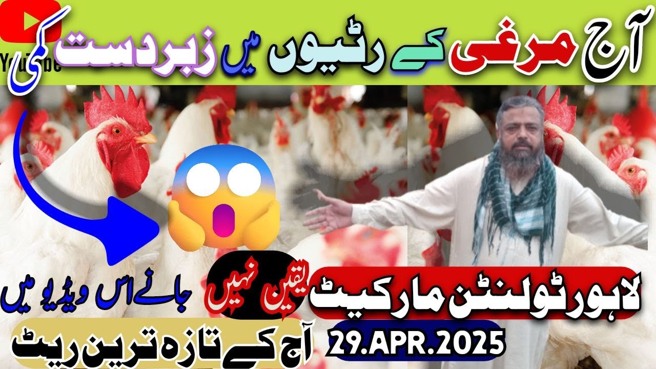 LAHORE's CHEAPEST Chicken Prices REVEALED at Tollinton Market TODAY? 29.Apr.2025