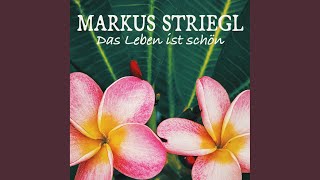 Video thumbnail of "Markus Striegl - Das Leben Ist schön (Freunde Version)"