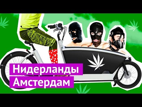 Бейне: Амстердам қаласынан Дели қанша қашықтық?