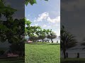 Amazing Nature
