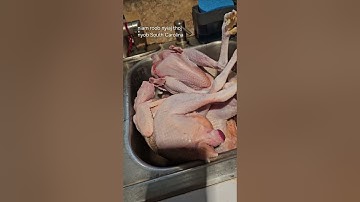 Hnub No Tua 13 Tug Qaib Yus Ib Leeg Xwb Ua Tsis Qig Kiag 7/14/2024