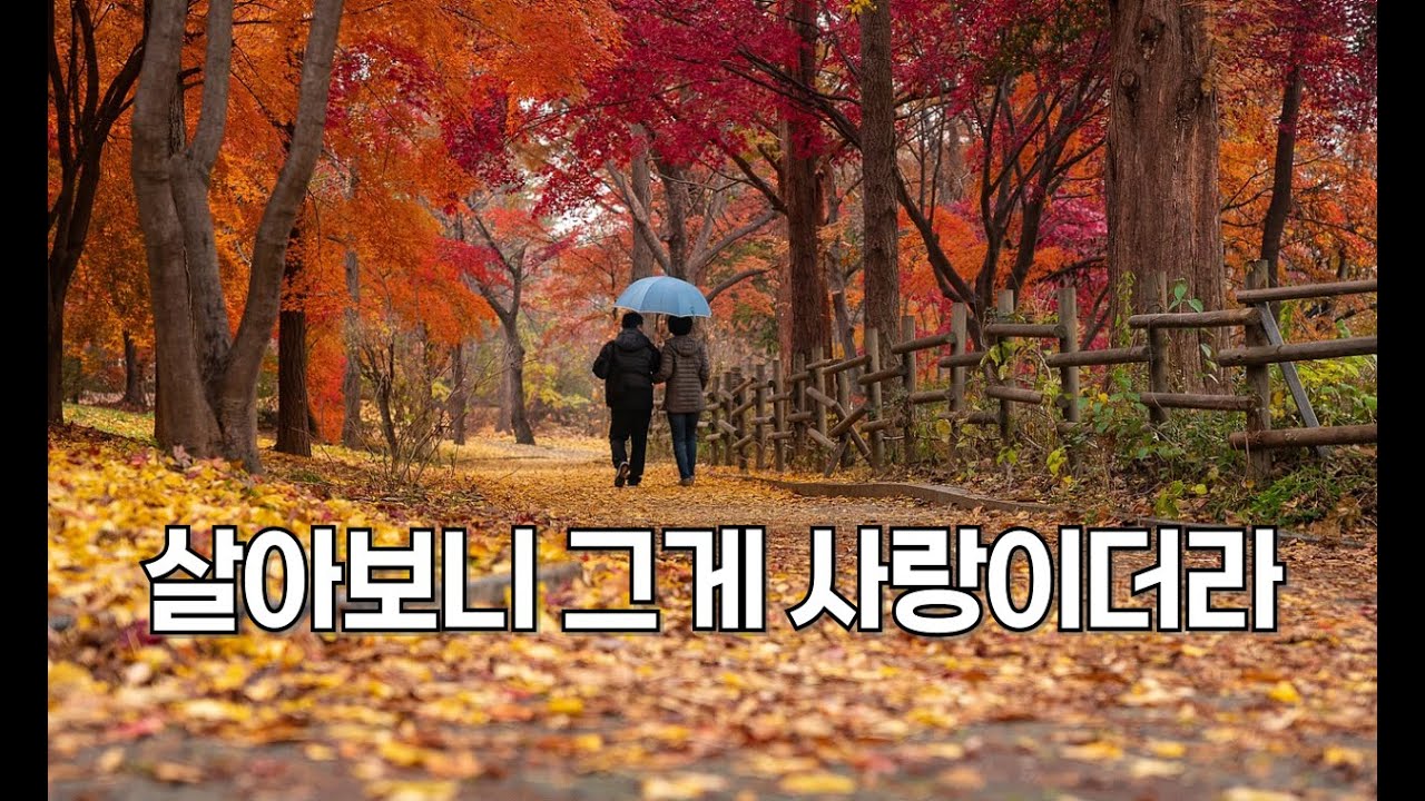 살아보니 그게 사랑이더라