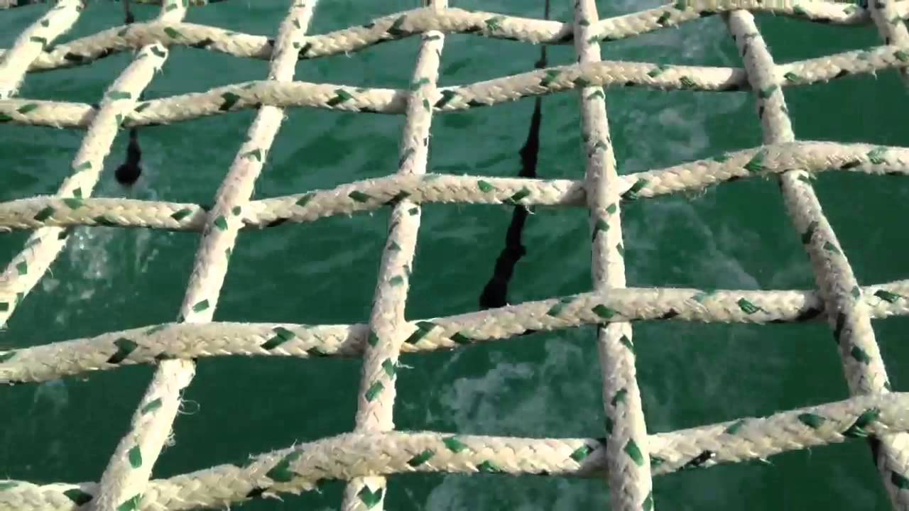 20 Seconds Looking Through Net Deck of Catamaran