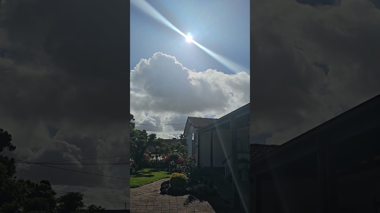 The Sun meaning of life. Albert Einstein