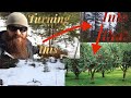 Tour of our farm | planning out the orchard