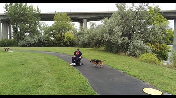 Parrot Anafi Piloting In New Sport Mode (Firmware Update) II