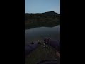 Fishing - Live Stream