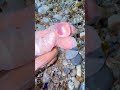 The Hidden Truth Behind "Pre-Cut" Beach Gems #beach #crystals #oceanpearl #satisfying