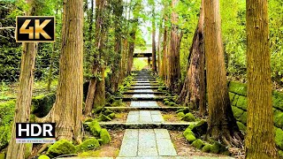 4K Japan Walk | Kenchoji, the oldest Zen Training Monastery Kamakura | 4K HDR