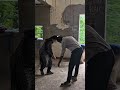 “Hyderabad Interior Work in Progress ✨ Stunning Modern Home Makeover | Interior Designers Hyderabad”