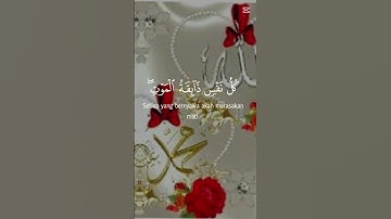 اسمع قران كريم لا تهرب