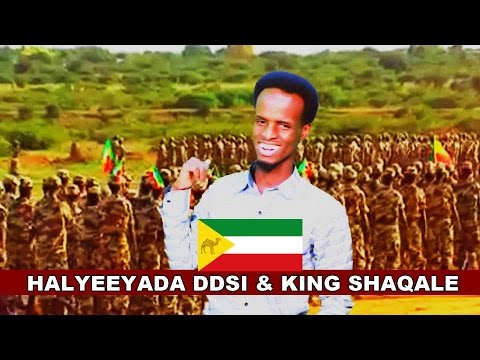 LIYUU BOOLIS GUUL DHAANTO CUSUB CIIDANKA GAAR KA EE DDSI ALFANAAN AXMED SHAQALE 2017 HD