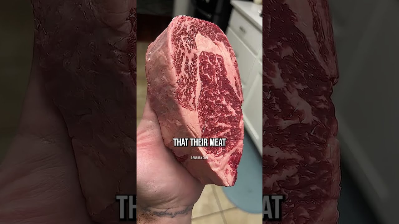 Waarom Vlees Van Herkauwers Het BESTE Is Voor Carnivoren