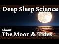 Moon, Gravity and Tides Explained | Calm Science for Sleep