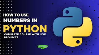The SHOCKING Truth About Python Numbers Nobody Tells You Net Worth