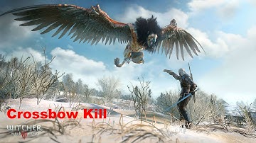 Witcher III Wild Hunt: Awesome Crossbow Griffin Kill