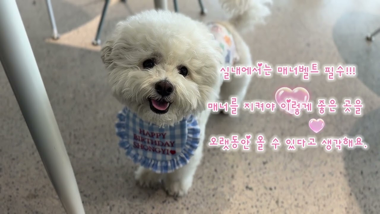 김숑이 생일에 뭐해?