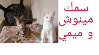 طريقة تحضير سمك القطط في الفرن🐈😇