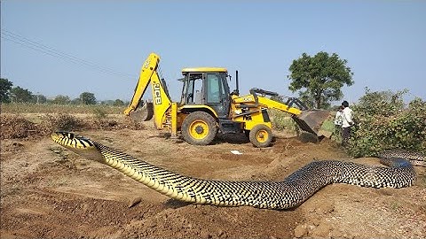 JCB 3dx Backhoe fully Loading Mud in Mahindra 475 JCB khudai work JCB video #jcb #jcbvideo