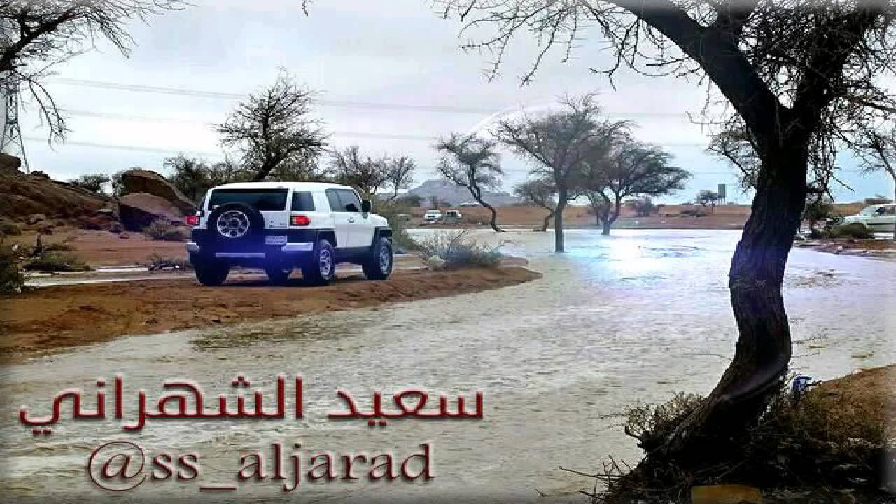 شيلة العيون الوسيعة بصوت المنشد سالم الشهراني